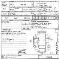 Mazda MX-30 лот № 20094 оценка R  с аукциона в Японии 10