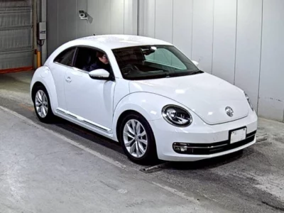 Volkswagen THE BEETLE