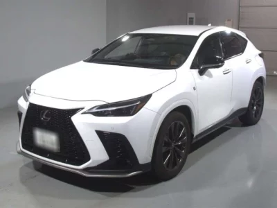 Lexus NX  с аукциона в Японии