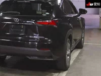 Lexus NX лот № 30285 оценка 3.5  с аукциона в Японии 7