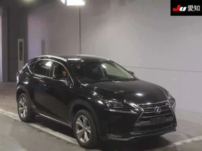Lexus NX  с аукциона в Японии