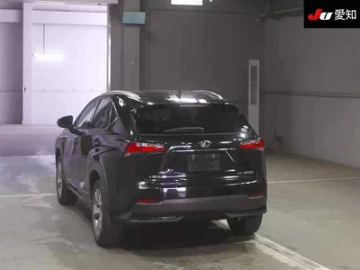 Lexus NX  с аукциона в Японии