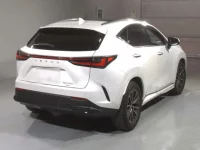 Lexus NX лот № 8039 оценка 5  с аукциона в Японии 1