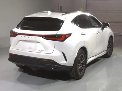 Lexus NX  с аукциона в Японии