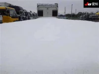 Hino PROFIA лот № 8681 оценка 3  с аукциона в Японии 7