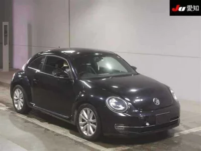 Volkswagen THE BEETLE