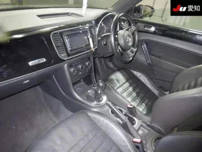 Volkswagen THE BEETLE