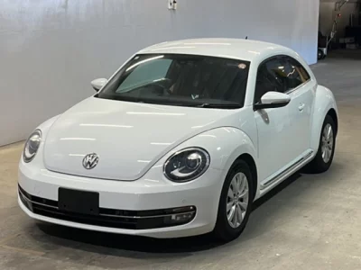 Volkswagen THE BEETLE