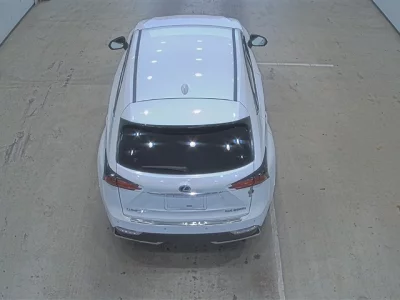 Lexus NX  с аукциона в Японии