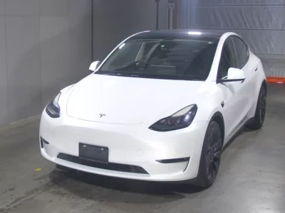 Tesla MODELY