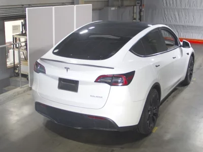 Tesla MODELY