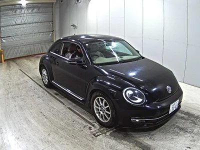 Volkswagen THE BEETLE