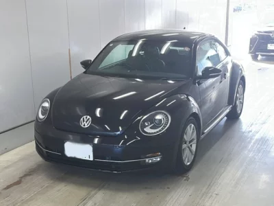 Volkswagen THE BEETLE