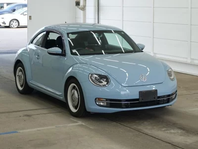Volkswagen THE BEETLE