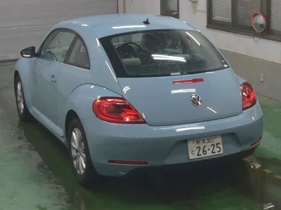 Volkswagen THE BEETLE