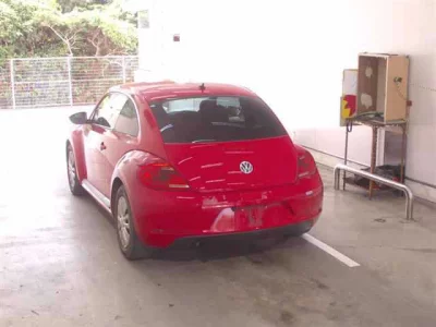 Volkswagen THE BEETLE