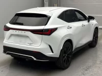 Lexus NX лот № 10015 оценка R  с аукциона в Японии 1