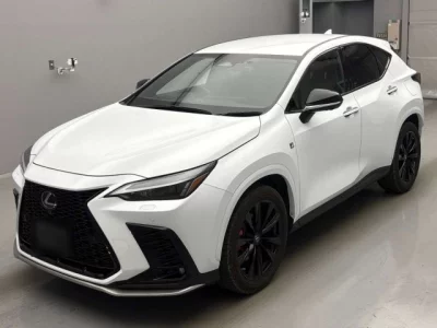 Lexus NX  с аукциона в Японии