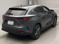 Lexus NX лот № 10049 оценка 5  с аукциона в Японии 1