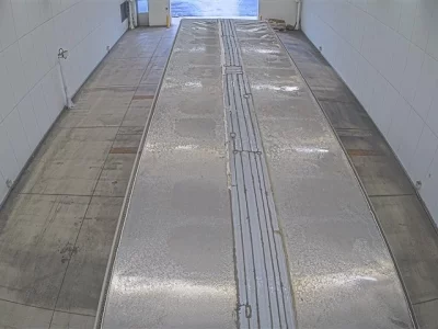 Hino PROFIA  с аукциона в Японии