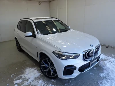 BMW X5 SERIES