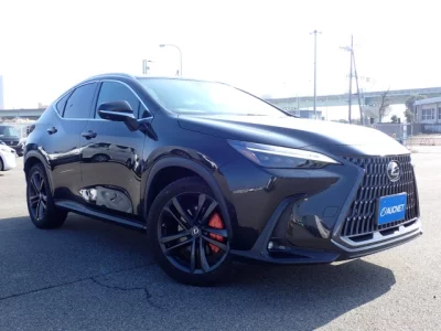 Lexus NX  с аукциона в Японии