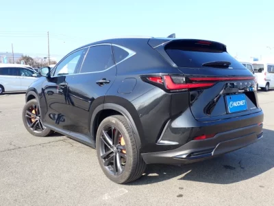 Lexus NX  с аукциона в Японии
