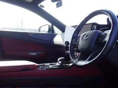 Lexus NX  с аукциона в Японии