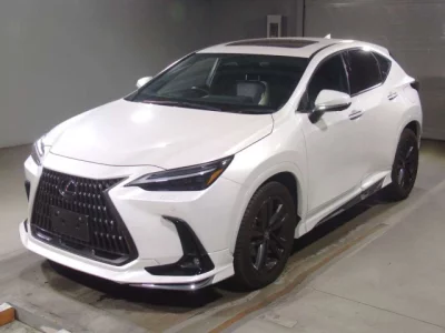 Lexus NX  с аукциона в Японии