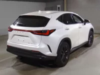 Lexus NX лот № 10028 оценка 4.5  с аукциона в Японии 1