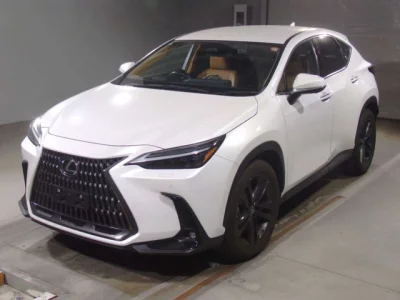 Lexus NX  с аукциона в Японии