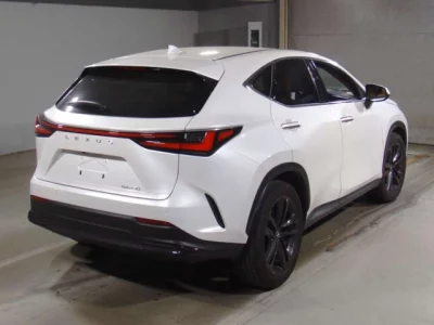 Lexus NX  с аукциона в Японии