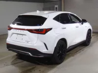 Lexus NX лот № 10044 оценка 4.5  с аукциона в Японии 1