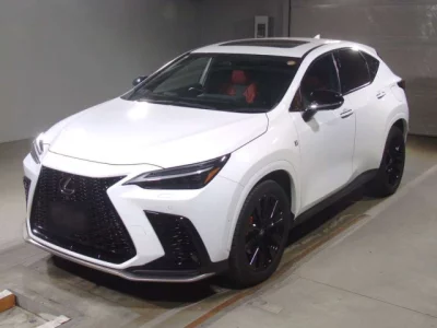 Lexus NX  с аукциона в Японии