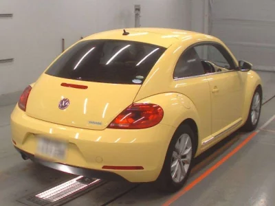 Volkswagen THE BEETLE