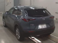 Mazda CX-30 лот № 30399 оценка 5  с аукциона в Японии 5