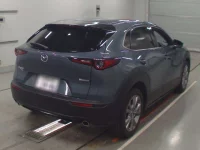 Mazda CX-30 лот № 30399 оценка 5  с аукциона в Японии 1