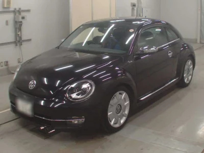 Volkswagen THE BEETLE
