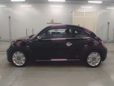 Volkswagen THE BEETLE