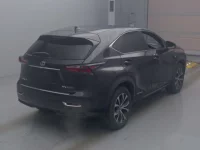 Lexus NX лот № 10002 оценка 3.5  с аукциона в Японии 1