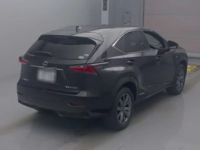 Lexus NX  с аукциона в Японии