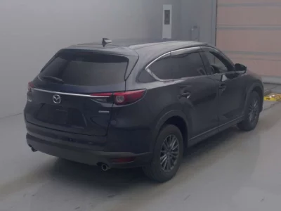 Mazda CX-8  с аукциона в Японии