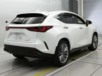 Lexus NX лот № 36283 оценка 5  с аукциона в Японии 1