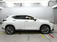 Lexus NX лот № 36283 оценка 5  с аукциона в Японии 2