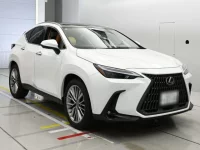 Lexus NX лот № 36283 оценка 5  с аукциона в Японии 4
