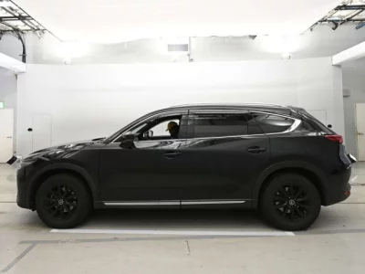 Mazda CX-8  с аукциона в Японии