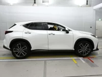Lexus NX лот № 36559 оценка 5  с аукциона в Японии 2