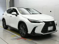 Lexus NX лот № 36559 оценка 5  с аукциона в Японии 4