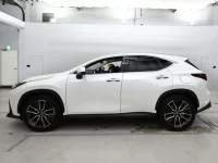 Lexus NX лот № 36559 оценка 5  с аукциона в Японии 3