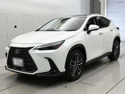 Lexus NX  с аукциона в Японии